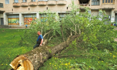 Зелёная зона на въезде будет восстановлена
