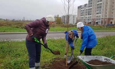 75 берёз за каждый мирный год